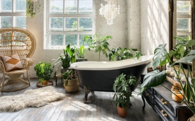 Почему в таком доме легче дышать: как биофильный дизайн улучшает самочувствие и атмосферу