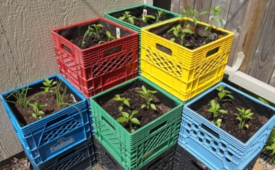 Ящики из-под овощей работают в быту: как превратить тару из супермаркета в грядки и системы хранения
