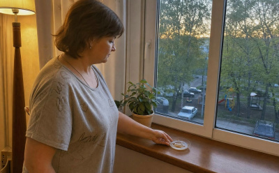 Оконные рамы протираю ароматной смесью: мухи и комары не летят в окно, даже если нет сетки
