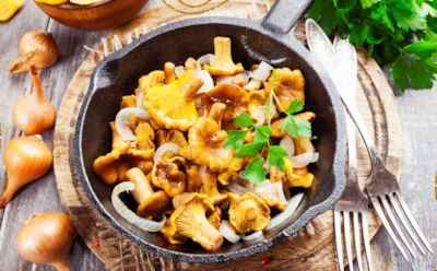 Даже идеальные лисички могут горчить: из-за чего грибы теряют вкус и золотистую корочку