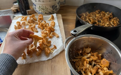 Пожарили лисички — и вкус разочаровал: почему дело не в грибах, а в ошибке при подготовке