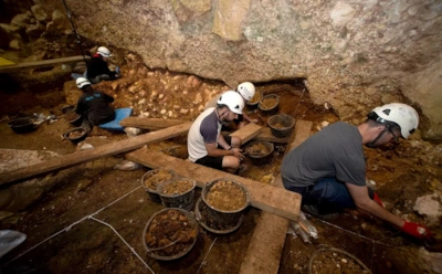 Новые останки Homo antecessor в Испании: почему следы на костях так заинтересовали археологов