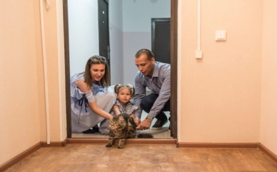 Зачем при переезде сначала запускают кошку: откуда взялась примета и почему сохранилась до наших дней