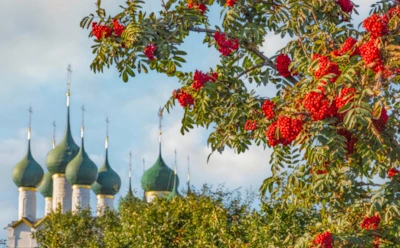 Сентябрьские приметы о зиме: какие знаки искали в тумане, ветре, птицах и урожае
