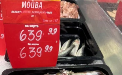 Дешевая мойва стала дорогим удовольствием: куда она исчезла и почему цена снизится нескоро
