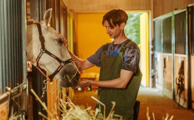 Иван Злобин в образе Севы в сериале «Цирк!»