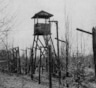 Жертвы политических репрессий. Лагерь "Карлаг"