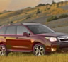 Subaru Forester 2014 – универсальный внедорожник