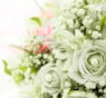 Какие цветы дарить на свадьбу