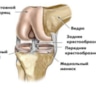 МРТ коленного сустава - почему именно она?