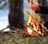 В СФ намерены поднять штрафы за розжиг костров до миллиона рублей