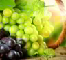 "Спасение от рака": медики раскрыли новое свойство винограда