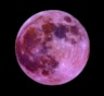 "Розовая Луна": ученые объяснили, почему спутник Земли меняет цвет