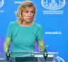 "Очередная пакость": Захарова о сроках выдачи виз США гражданам РФ