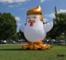У Белого дома установили гигантского надувного цыпленка с прической Трампа