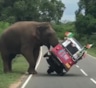 На Шри-Ланке слон перевернул моторикшу в поисках еды