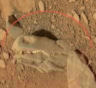 На Марсе обнаружены останки трех живых существ