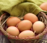 Ученые: куриные яйца могут помочь в борьбе с раком