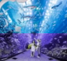 Самый большой океанариум в мире: от Китая до Дубая