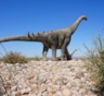 Самый большой динозавр в истории Земли
