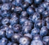 Черничная забота: ягода помогает укреплению кишечника — исследования подтверждают эффективность
