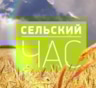 Ностальгия по «Сельскому часу»: от подъема целины до новаторских решений — хроники аграрного сектора СССР