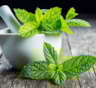 Листья, которые лечат и успокаивают: россиянам рассказали, чем полезна мята для организма и когда стоит проявить осторожность