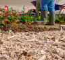 Опилки без вреда: как превратить древесный мусор в питание для грядок