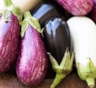 Фиолетовые, белые или полосатые: какой оттенок баклажана выбрать при покупке