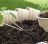 Почва решает все: секрет мощной рассады — в правильной смеси