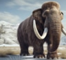 Мамонт снова ступит по Земле: генетики собираются вернуть древний вид из небытия