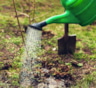 Сам себе дождик: как правильно провести влагозарядковый полив осенью, чтобы сад пережил зиму
