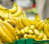 Покупаем бананы к Новому году: что выдает свежесть фрукта лучше цвета и размеров — обратите внимание в первую очередь