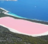 Розовое озеро — соляной магнит: как появилась одна из главных достопримечательностей Австралии