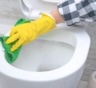 Бактерии и известь сдаются без боя: чем реально очистить унитаз за один подход