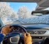 Установите эти три вещи в автомобиль - и зима пройдет как никогда гладко