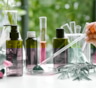 Органическая косметика на пике моды: в чем выигрывают и проигрывают эко-кремы и шампуни