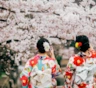 Мартовские традиции в разных странах: от сакуры до красок Холи — как встречают в мире весну
