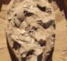 Эти яйца пролежали 7000 лет: находка археологов у костра раскрыла рацион кочевников пустыни