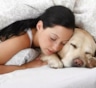Если спите с питомцем в одной постели: как это влияет на сон и где проходит граница между пользой и вредом