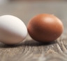 Почему коричневые яйца дороже белых: действительно ли цвет скорлупы определяет качество