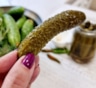 Маринованные огурцы должны хрустеть, а не мяться: одна пряная веточка сохранит тот самый плотный хруст
