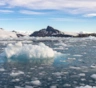 В российской Арктике почти +30 °C: температура одним скачком превысила вековой максимум