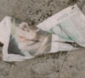 Скручиваю газету и кладу за бачок унитаза: все пара капель — и химозный освежитель больше не нужен