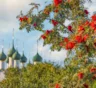 Сентябрьские приметы о зиме: какие знаки искали в тумане, ветре, птицах и урожае