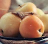 Эти моченые яблоки в банке не хуже бочковых: упругие, ароматные и с кисло-сладким вкусом