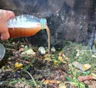 Осенью подготовил компост, но весной он не созрел: чего не хватило куче перед холодами