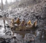Империи на одно поколение: эти 5 государств громко вошли в историю, но быстро исчезли