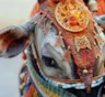 Люди наделяли их особой силой: как возникали культы животных у разных народов