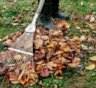 Огород в октябре не перекапываю: 6 осенних работ, на которые дачники напрасно тратят силы